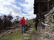 Alpe Le Piane (mt.1832)